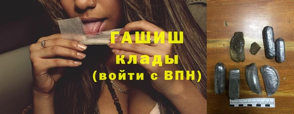 крисы Алзамай