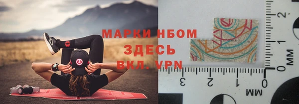 крисы Алзамай
