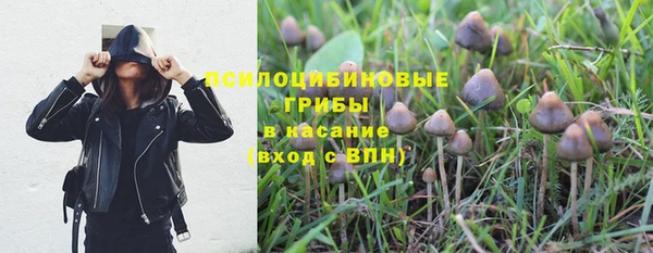 спайс Алексеевка
