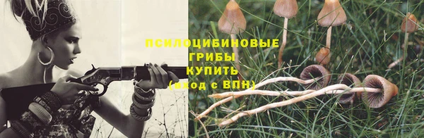 крисы Алзамай