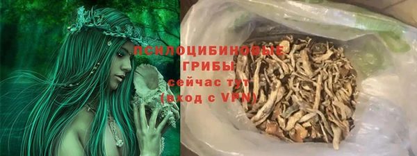 крисы Алзамай