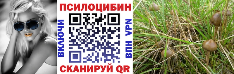 Галлюциногенные грибы мицелий  OMG вход  Хабаровск 
